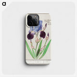 1-28_Anselmus-Boetius-de-Boodt_phone