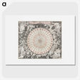1-28_Antique-Maps_picture