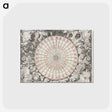 1-28_Antique-Maps_postcard