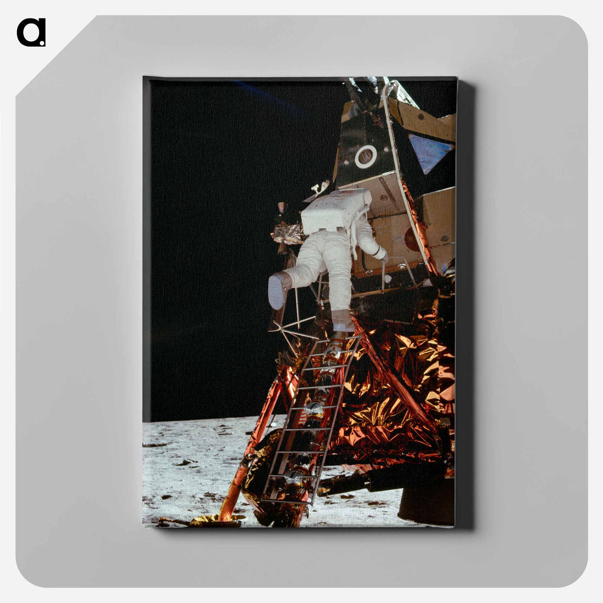 Astronaut Edwin E Aldrin Jr, Lunar Module (LM) pilot descends from the LM, climbing down the ladder. - アポロ月面着陸 Canvas.