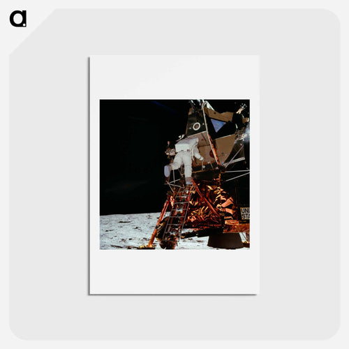 Astronaut Edwin E Aldrin Jr, Lunar Module (LM) pilot descends from the LM, climbing down the ladder. - アポロ月面着陸 Postcard.