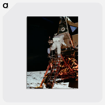 Astronaut Edwin E Aldrin Jr, Lunar Module (LM) pilot descends from the LM, climbing down the ladder. - アポロ月面着陸 Postcard.