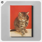 アートパネル-Cat With Paw Up
 - ボストン公共図書館 Canvas.