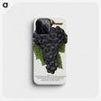 1-28_Botanical-Specimen-Plates_phone