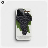 1-28_Botanical-Specimen-Plates_phone