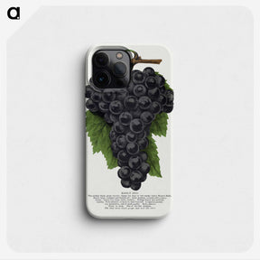 1-28_Botanical-Specimen-Plates_phone