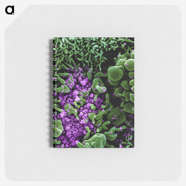 1-28_COVID-19_memo