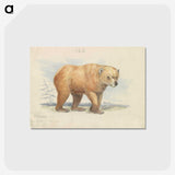 1-28_Charles-Hamilton-Smith_postcard