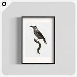 1-28_Des-Oiseaux-de-Paradis_blk