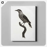 1-28_Des-Oiseaux-de-Paradis_canvas