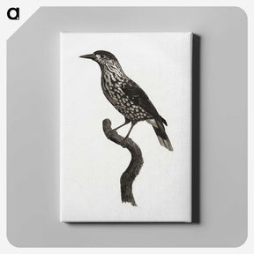 1-28_Des-Oiseaux-de-Paradis_canvas