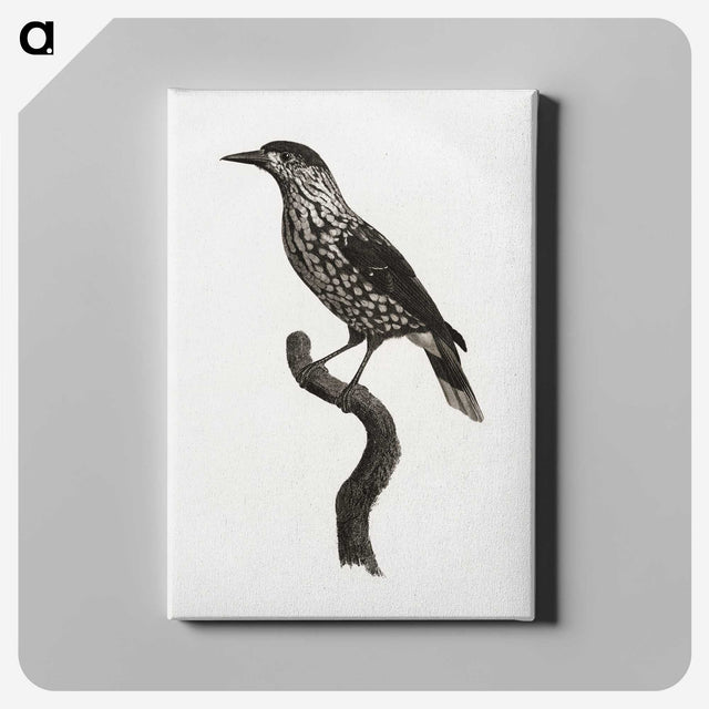 1-28_Des-Oiseaux-de-Paradis_canvas