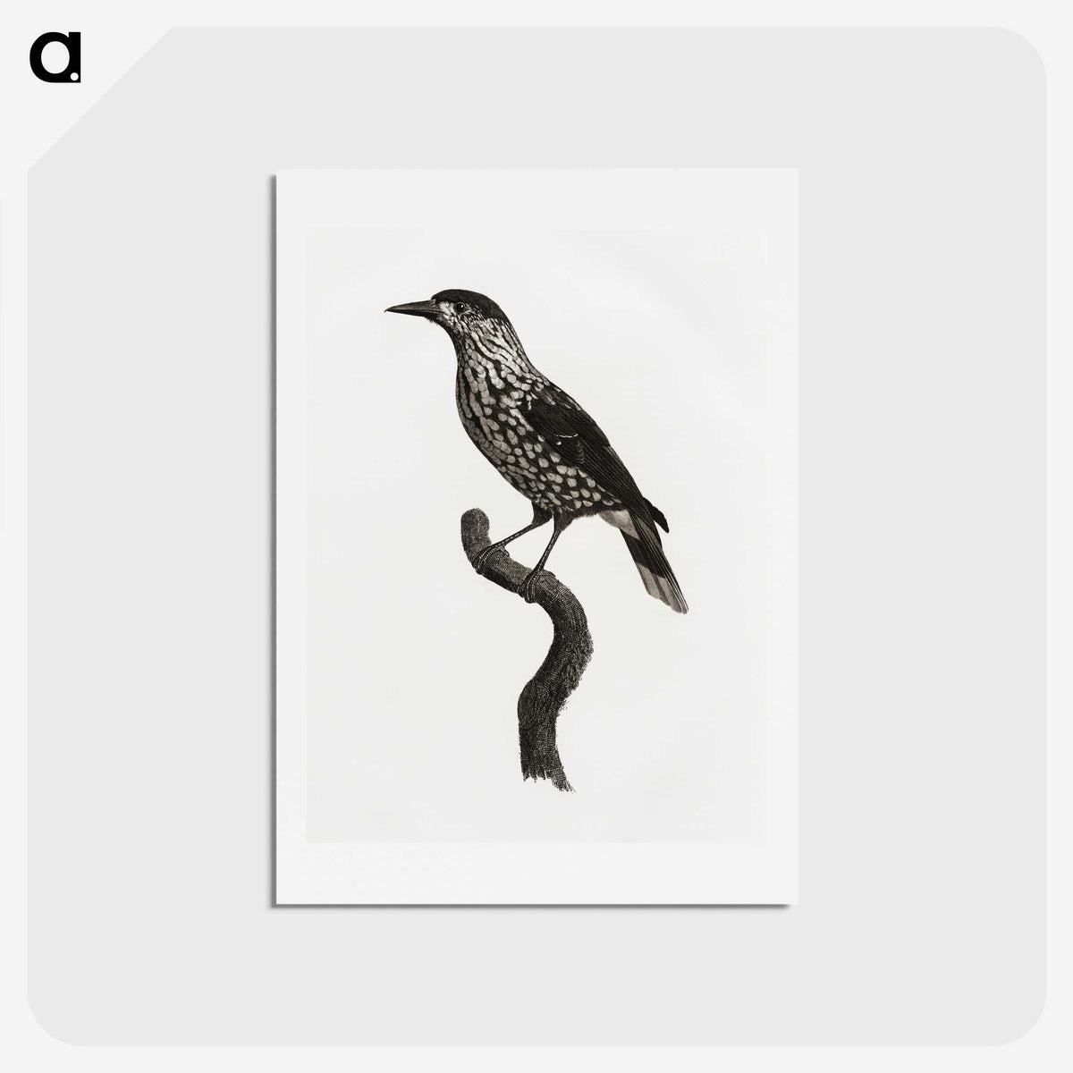 1-28_Des-Oiseaux-de-Paradis_hagaki