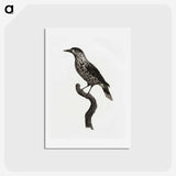 1-28_Des-Oiseaux-de-Paradis_hagaki