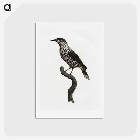 1-28_Des-Oiseaux-de-Paradis_hagaki