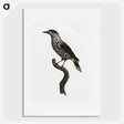 1-28_Des-Oiseaux-de-Paradis_picture