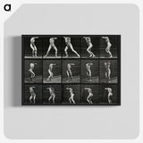 1-28_Eadweard-Muybridge_blk-crop