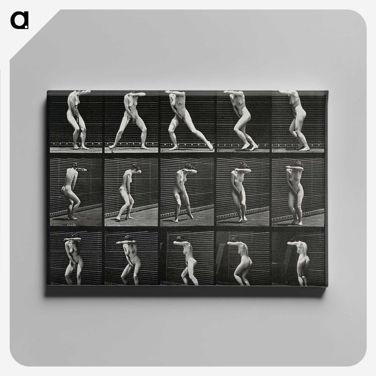 1-28_Eadweard-Muybridge_canvas