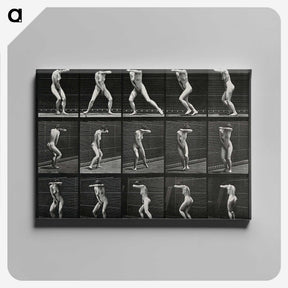 1-28_Eadweard-Muybridge_canvas