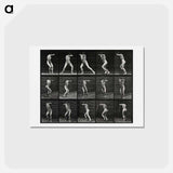 アートポストカード-Covered Face
 - エドワード マイブリッジ Postcard.