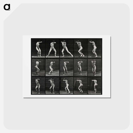 アートポストカード-Covered Face
 - エドワード マイブリッジ Postcard.