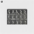 1-28_Eadweard-Muybridge_memo