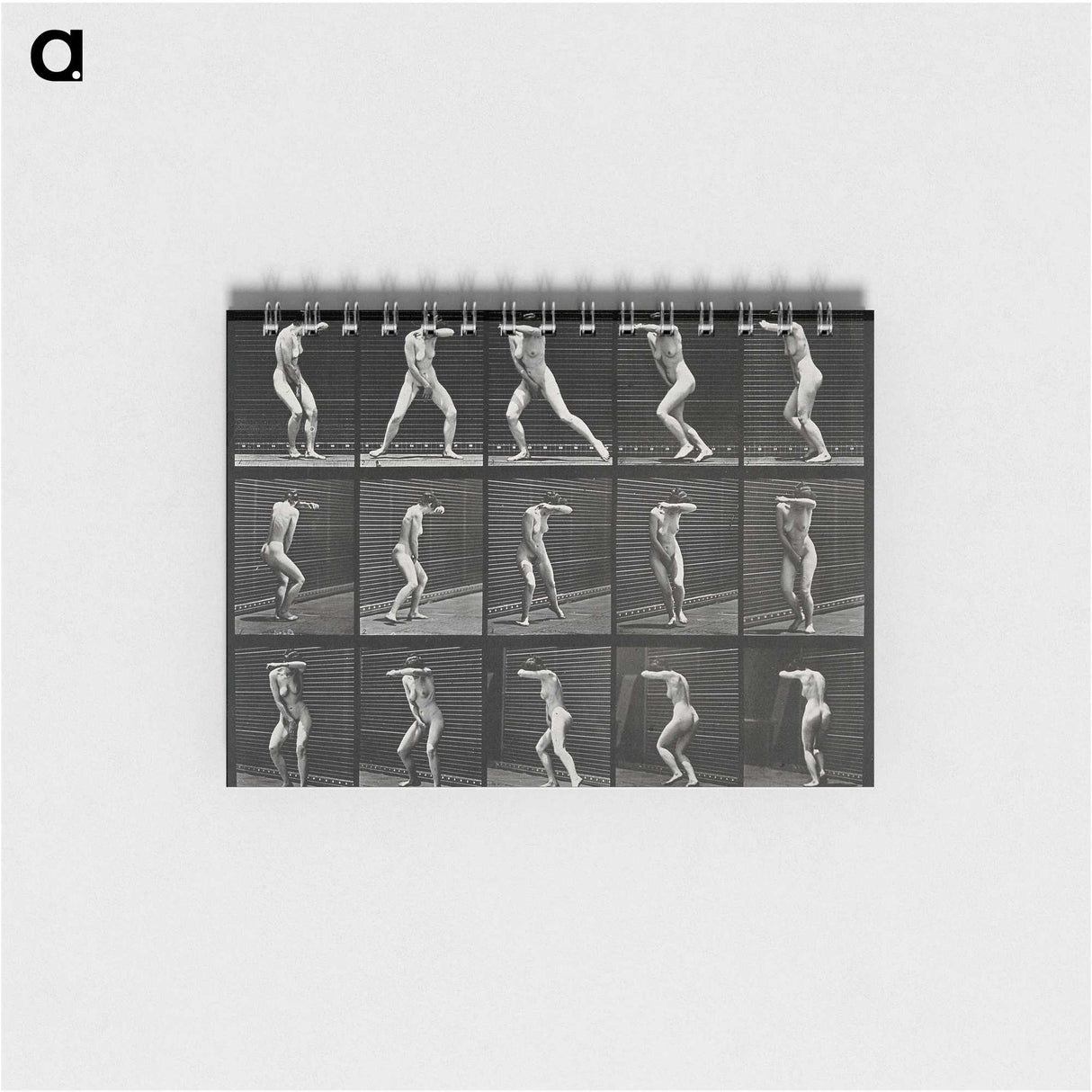 1-28_Eadweard-Muybridge_memo