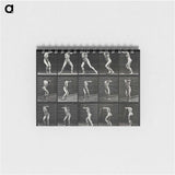 1-28_Eadweard-Muybridge_memo