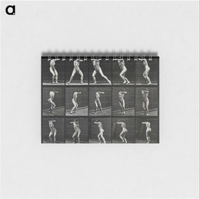 1-28_Eadweard-Muybridge_memo