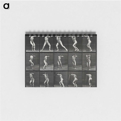 1-28_Eadweard-Muybridge_memo