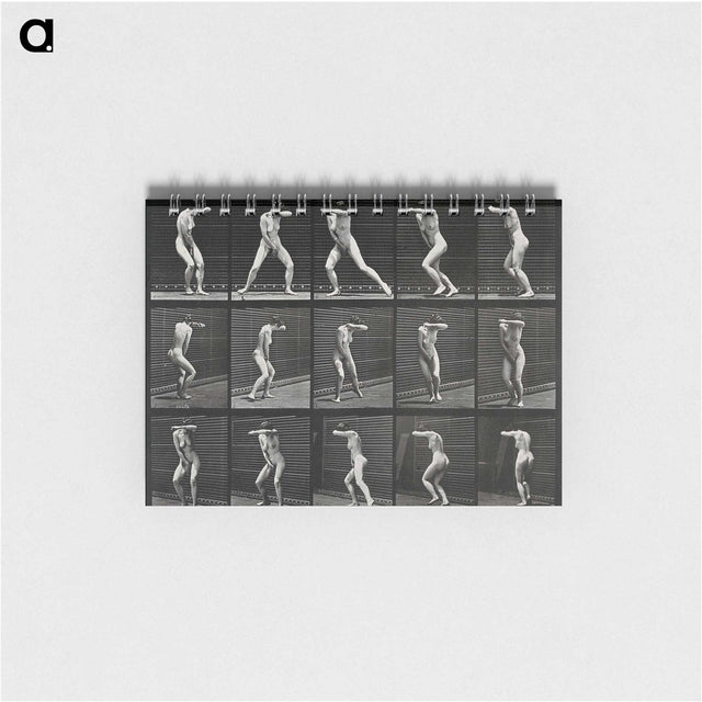 1-28_Eadweard-Muybridge_memo