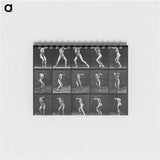 アートメモ帳-Covered Face
 - エドワード マイブリッジ Memo.