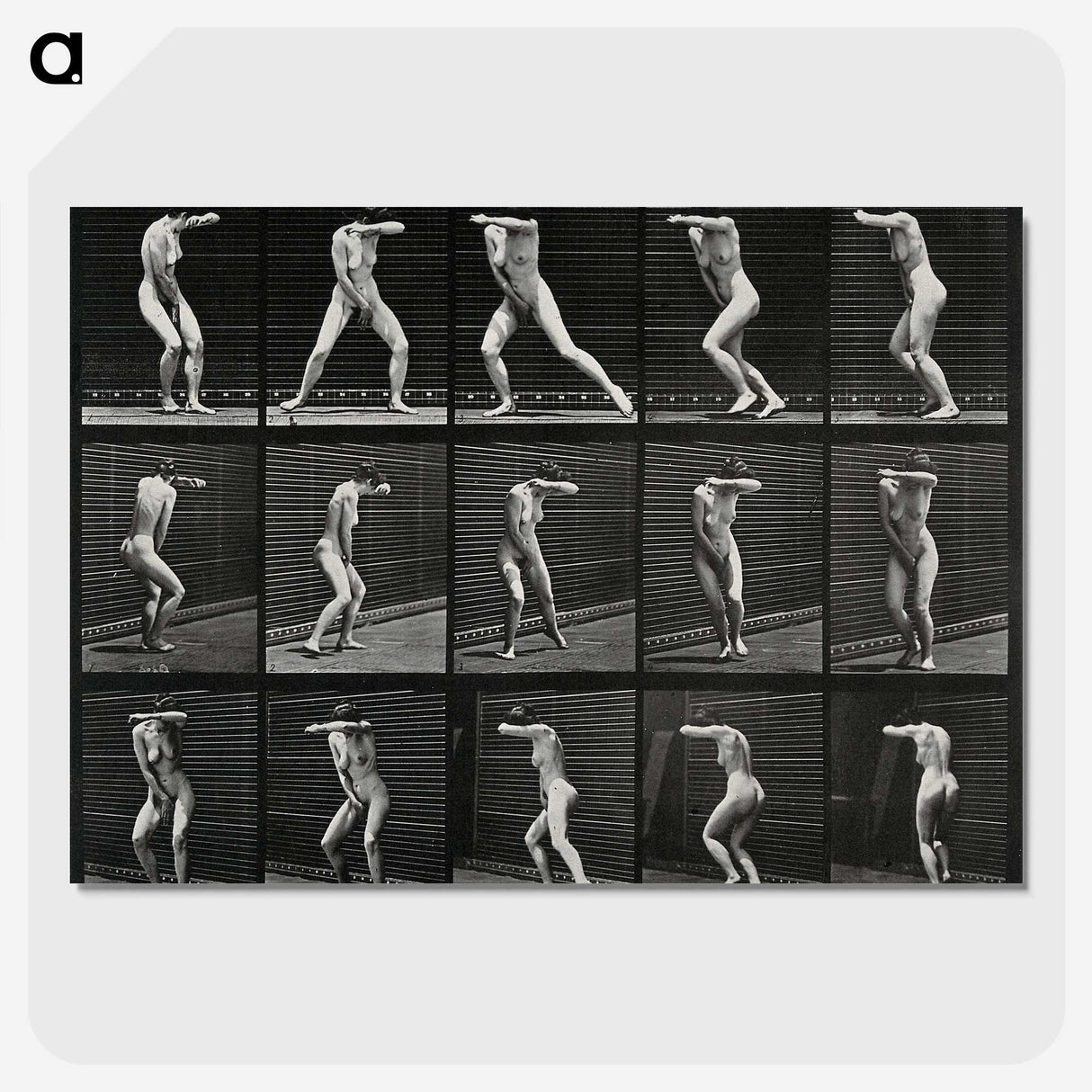 1-28_Eadweard-Muybridge_picture-crop