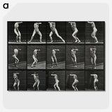 1-28_Eadweard-Muybridge_picture-crop