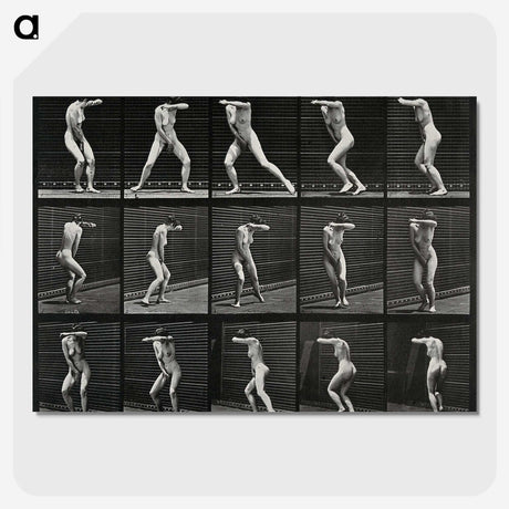 1-28_Eadweard-Muybridge_picture-crop