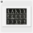 1-28_Eadweard-Muybridge_picture