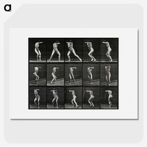 1-28_Eadweard-Muybridge_picture