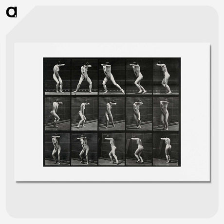 1-28_Eadweard-Muybridge_picture