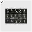1-28_Eadweard-Muybridge_postcard