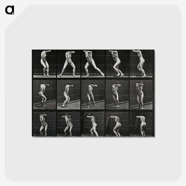 1-28_Eadweard-Muybridge_postcard