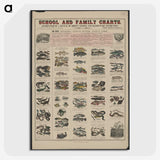 1-28_Education-Charts_picture-crop