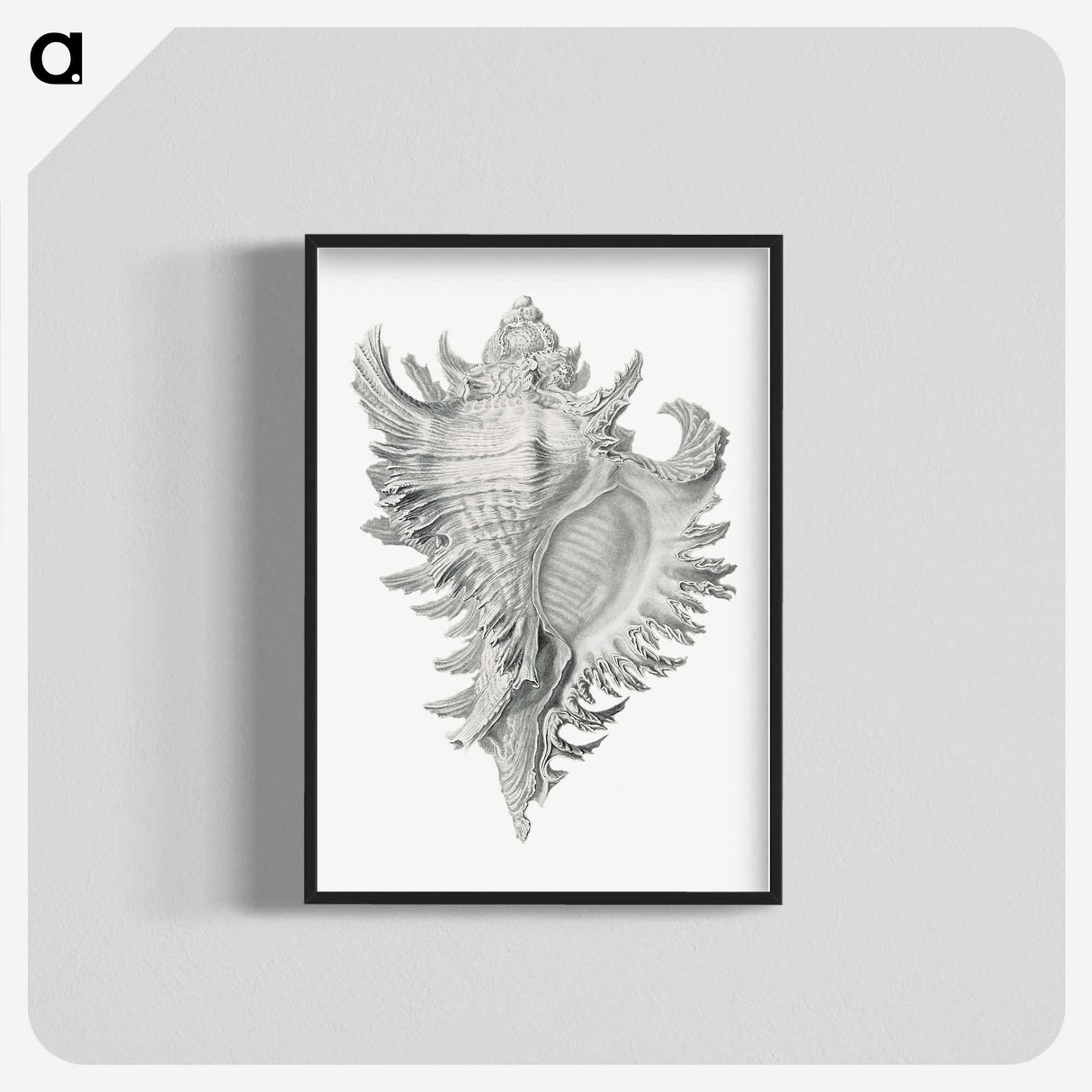 1-28_Ernst-Haeckel_blk-crop