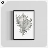 1-28_Ernst-Haeckel_blk-crop