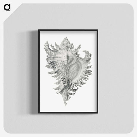 1-28_Ernst-Haeckel_blk-crop