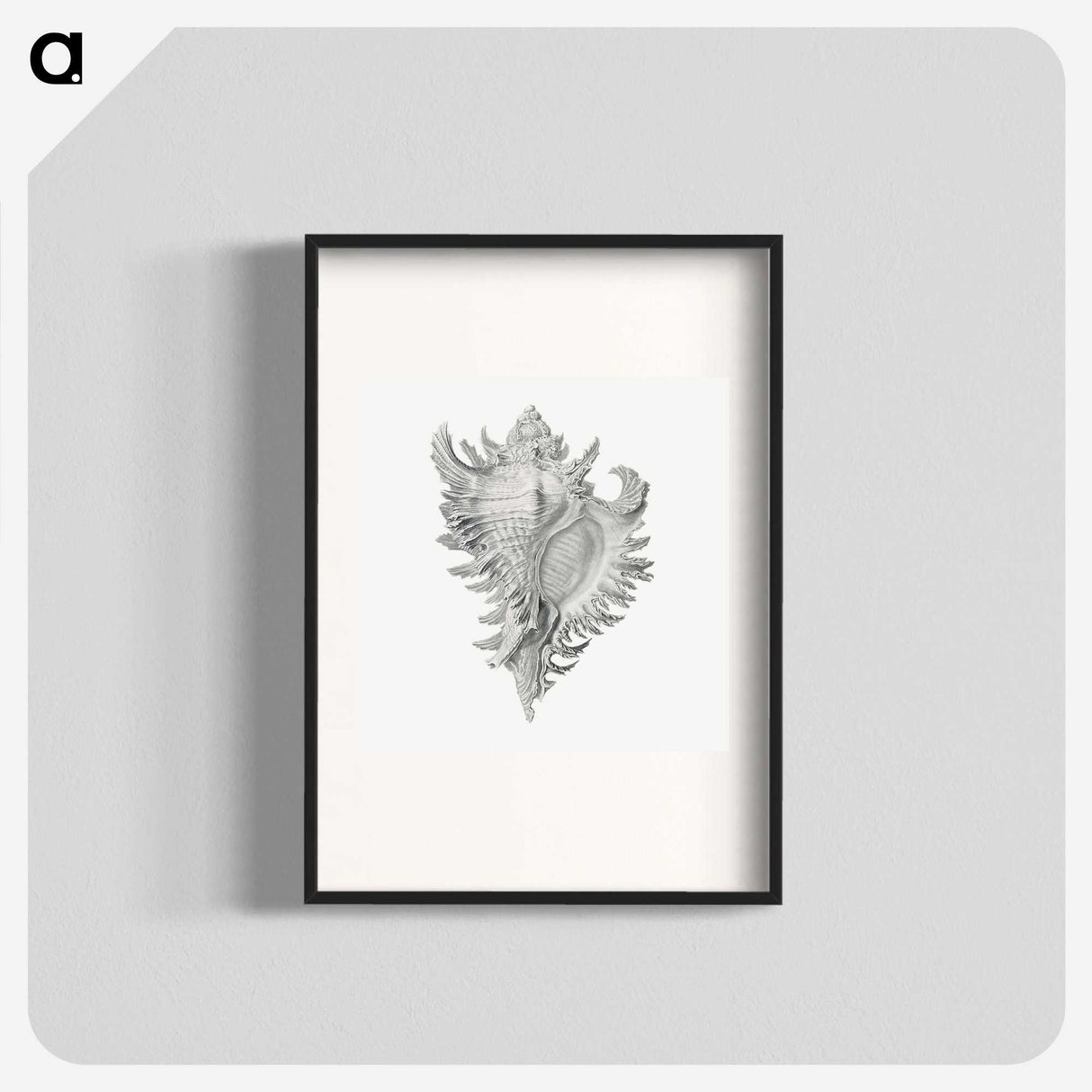 1-28_Ernst-Haeckel_blk
