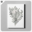 1-28_Ernst-Haeckel_canvas