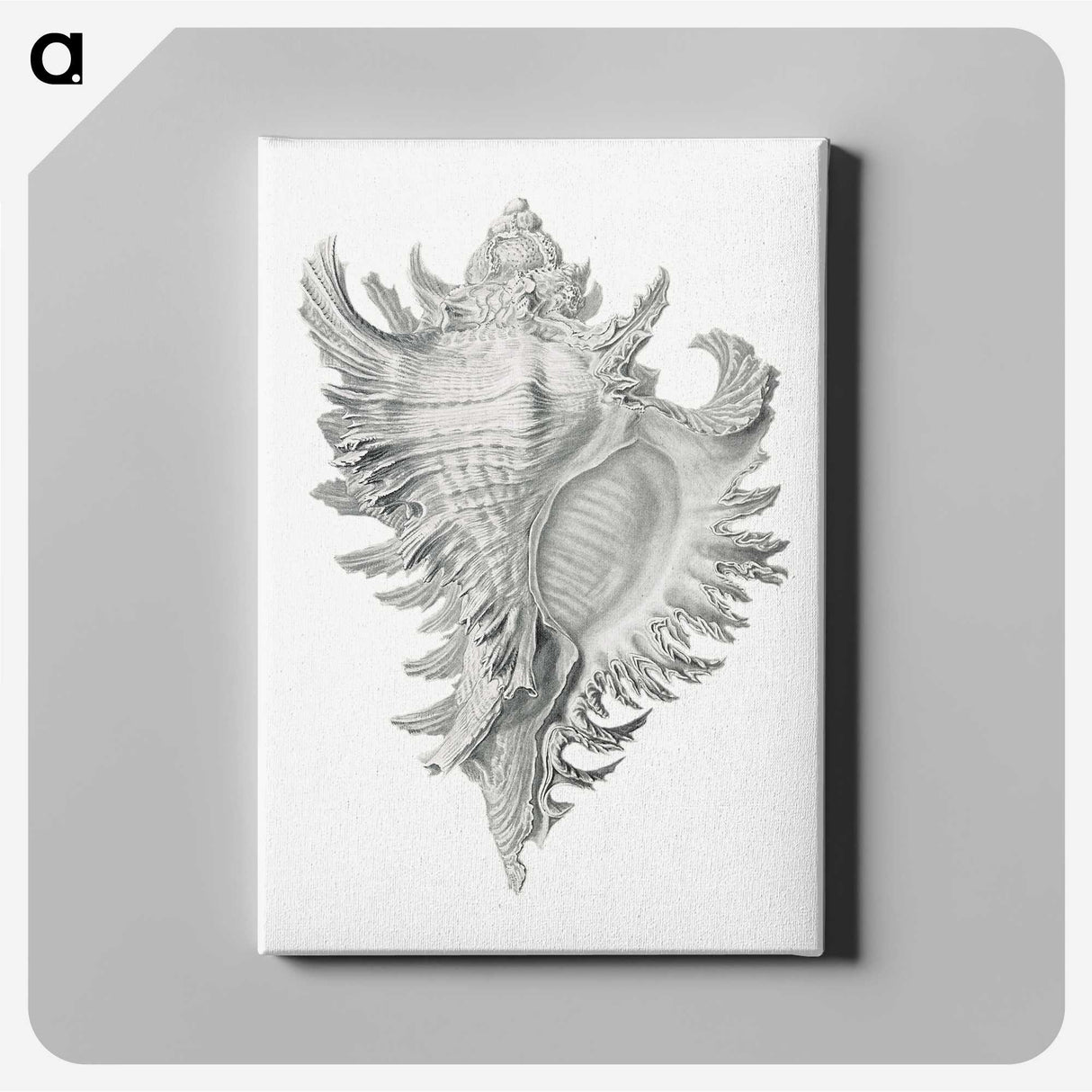 1-28_Ernst-Haeckel_canvas