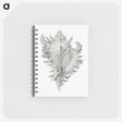 1-28_Ernst-Haeckel_memo