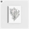 アートメモ帳-Vintage shell marine life illustration - エルンスト ヘッケル Memo.