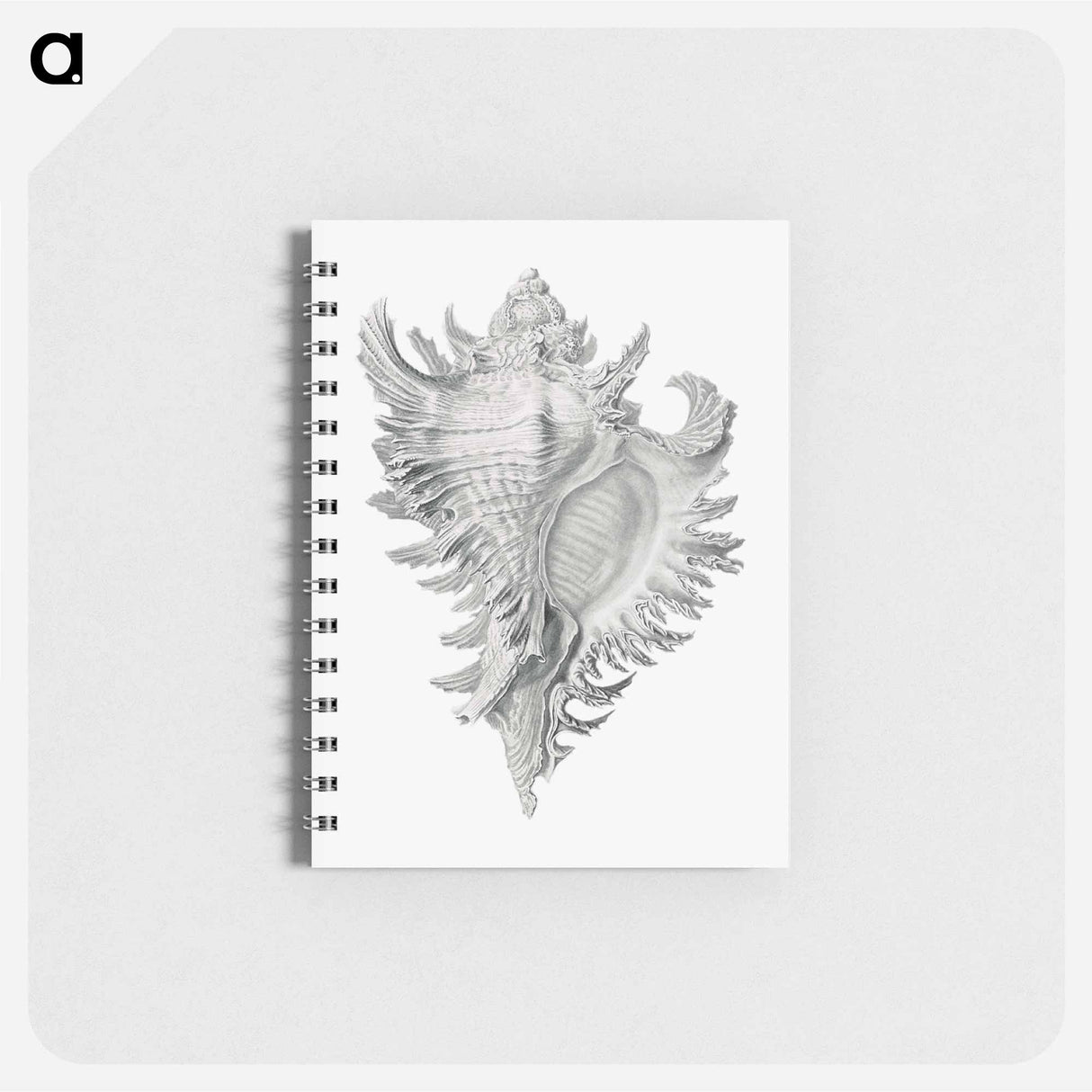 アートメモ帳-Vintage shell marine life illustration - エルンスト ヘッケル Memo.